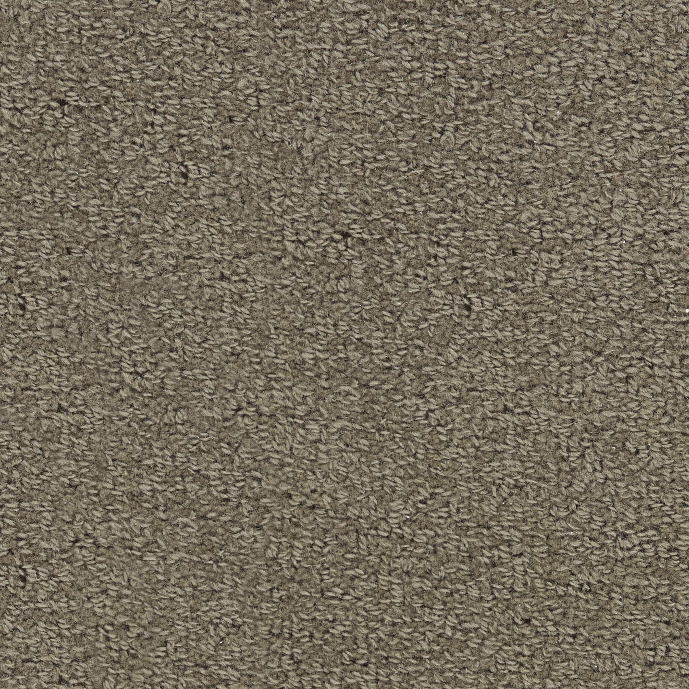 Image of WOOL TIP SHEAR 2 SUEDE