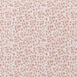 Image of LINK CARNATION/DUSTY ROSE