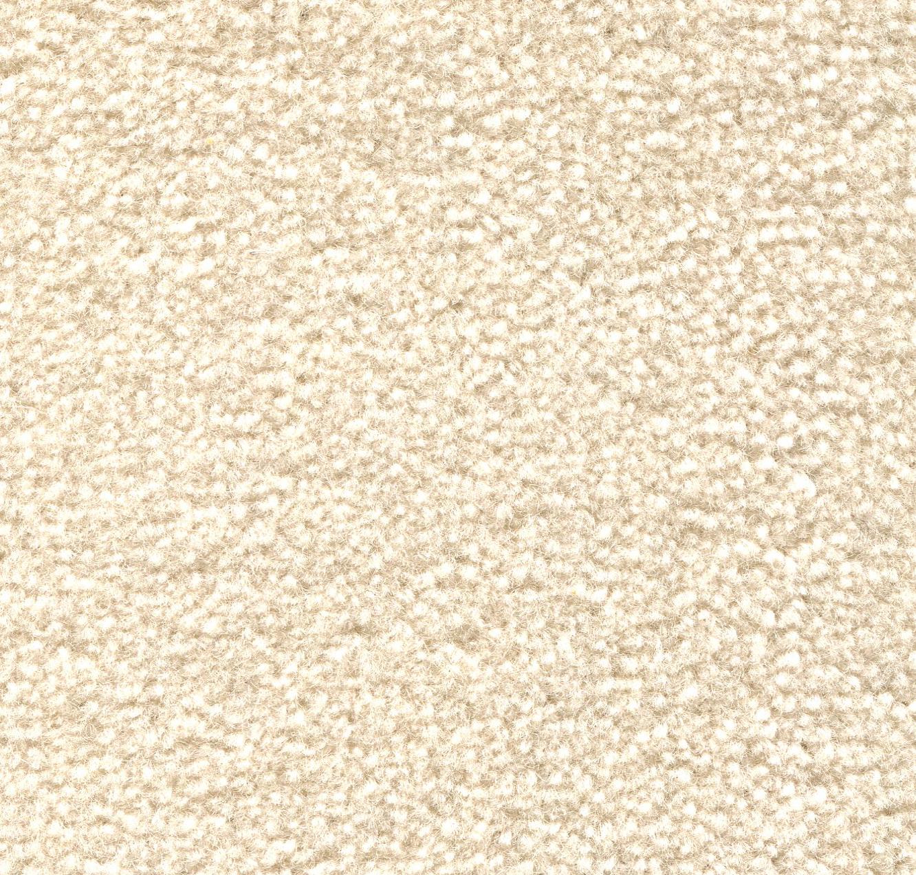 Image of MONTE CARLO SNOW