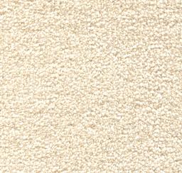 Image of MONTE CARLO SNOW