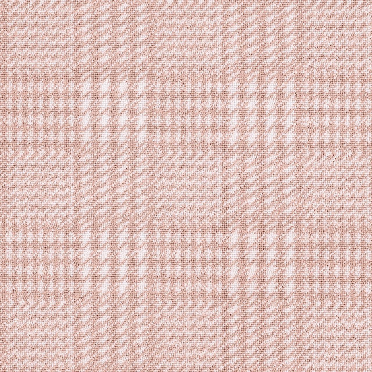 Image of MELORA CARNATION