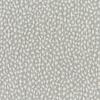 1st image thumbnail of FARRAH STRIA MIST