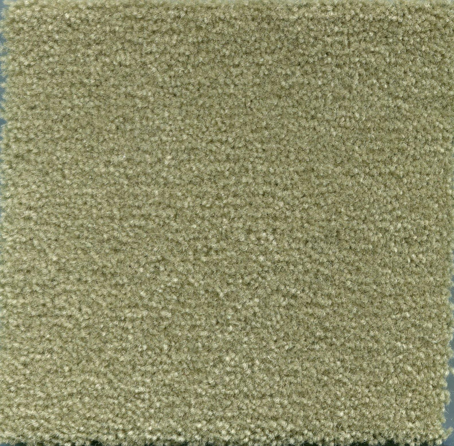 Image of MONTE CARLO WILLOW