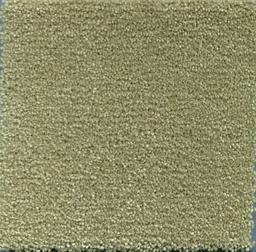 Image of MONTE CARLO WILLOW