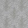 1st image thumbnail of FLASH STONE