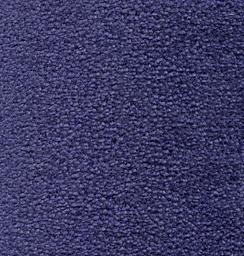 Product Image for MONTE CARLO PURPLE