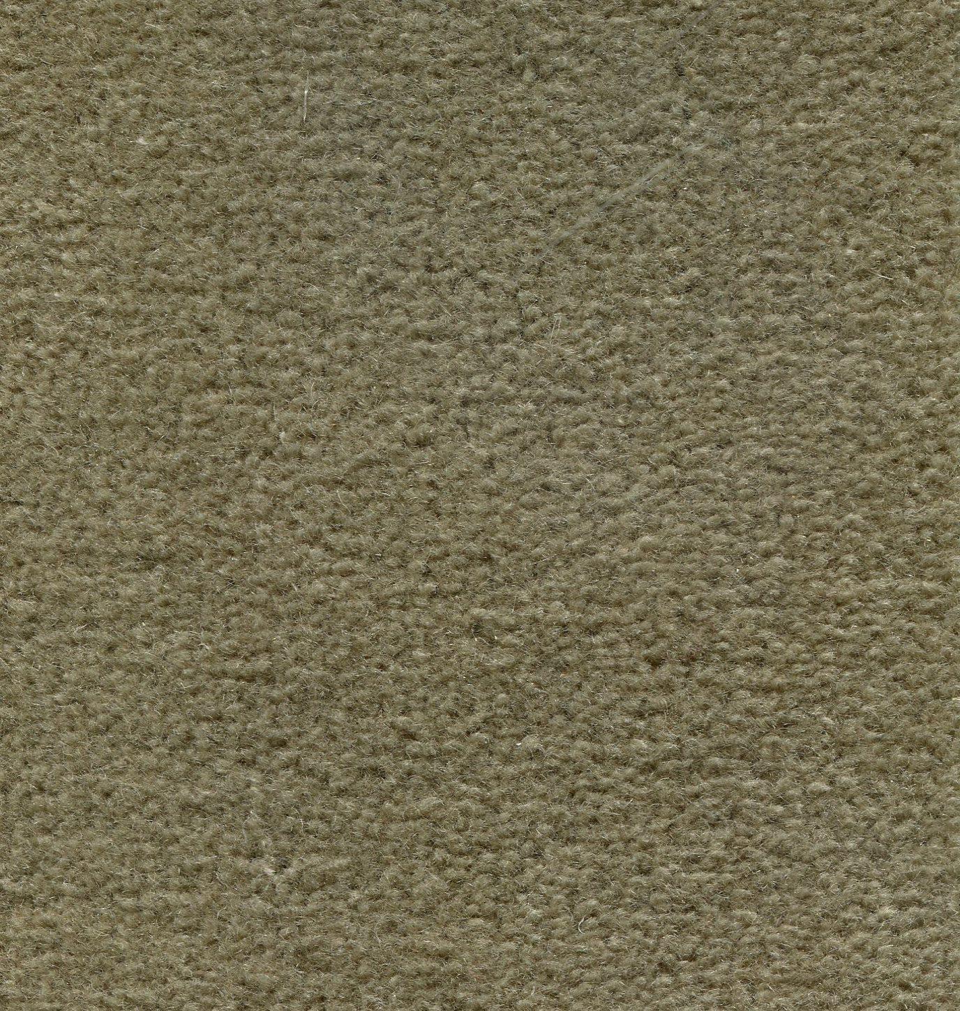 Image of MONTE CARLO SAGE