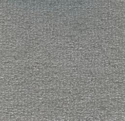 Image of MONTE CARLO SILVER