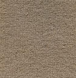 Image of MONTE CARLO CARDAMOMO