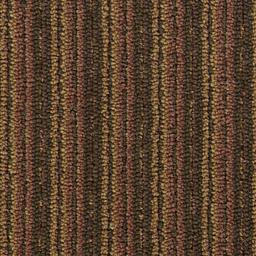 Image of SEQUENCE AMBER