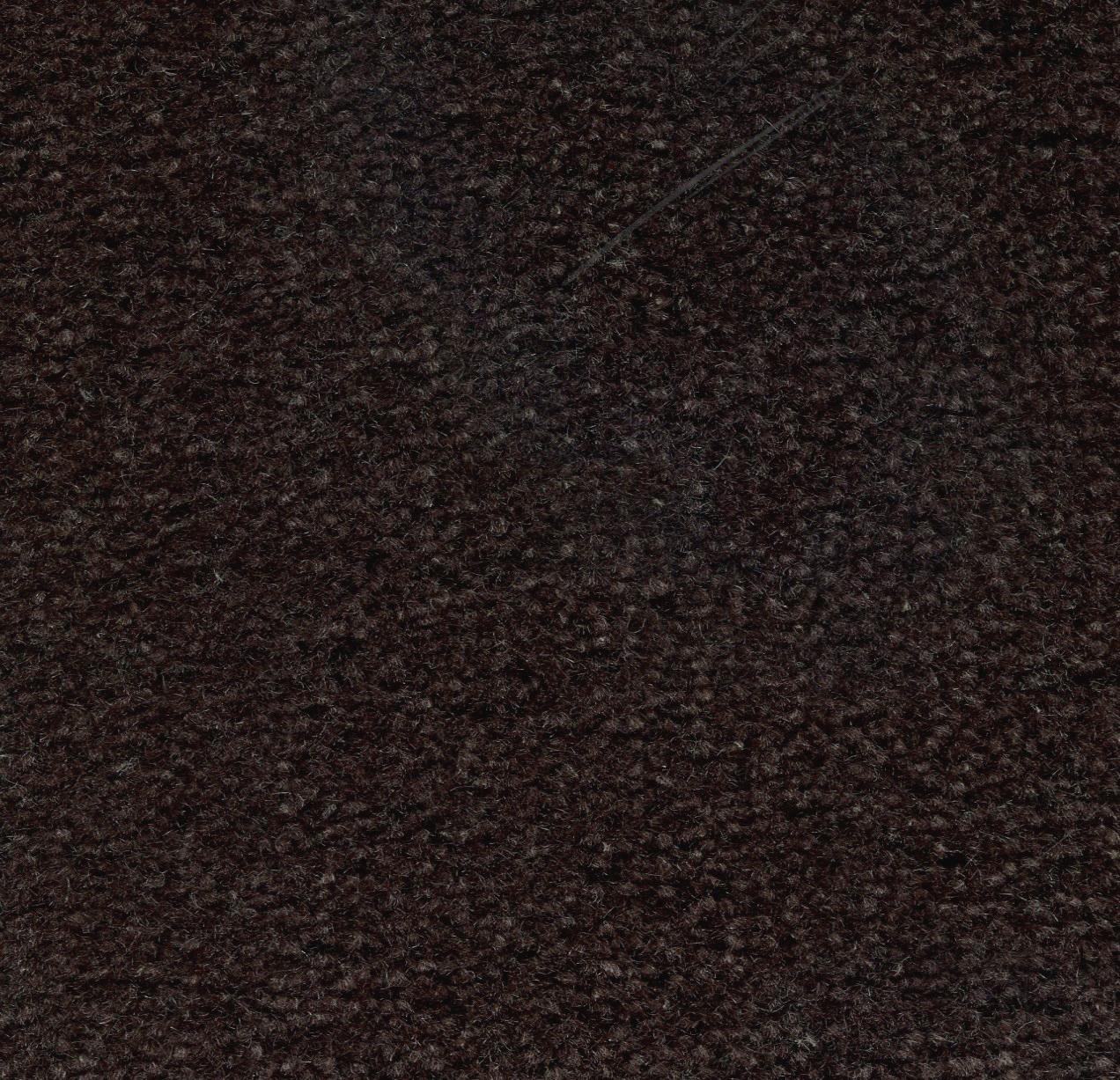 Image of MONTE CARLO BISONTE