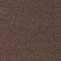 Image of BELL TWIST MUSHROOM