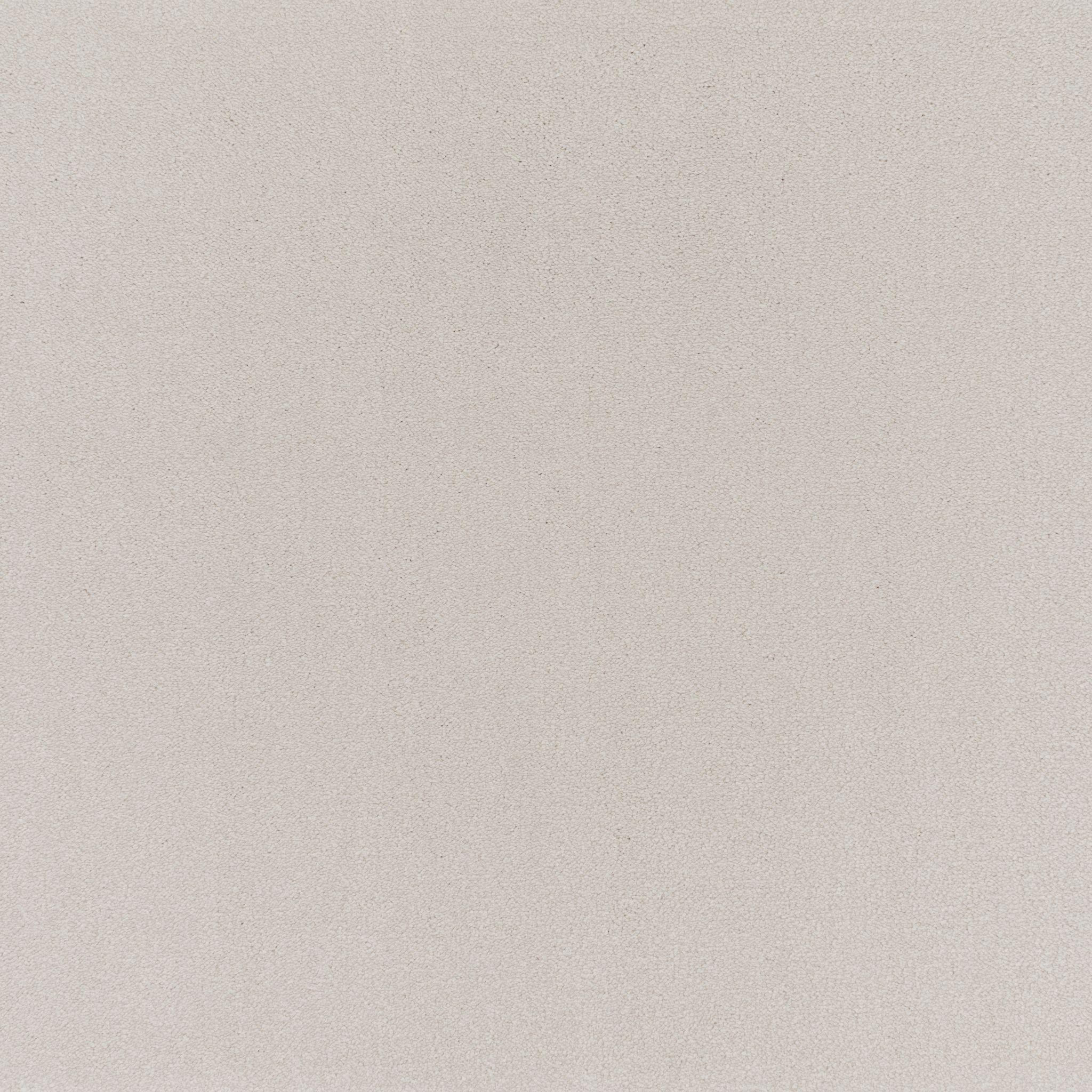 Image of CHAMPION SALT
