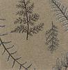 1st image thumbnail of BRACKEN BAMBOO