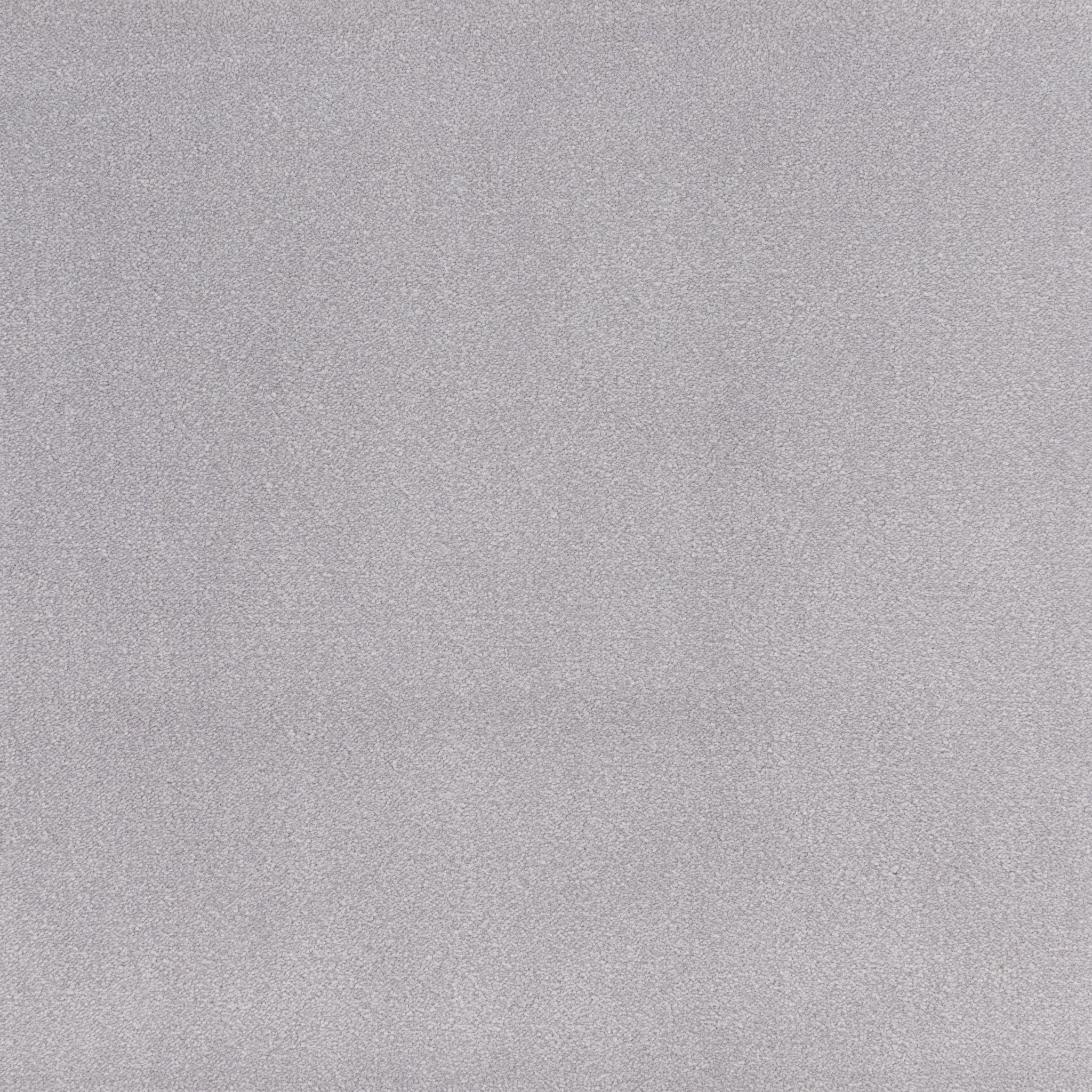 Image of CHAMPION SILVER