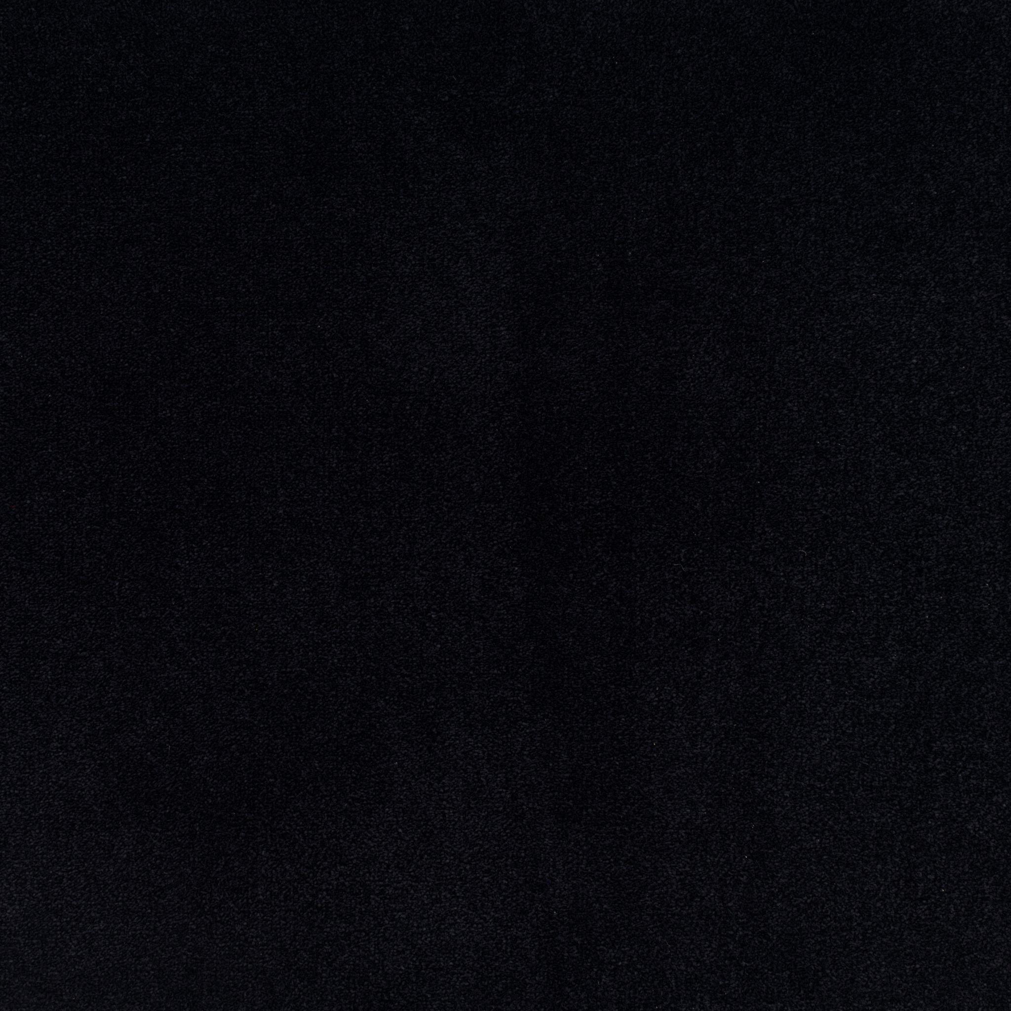 Image of CHAMPION ONYX