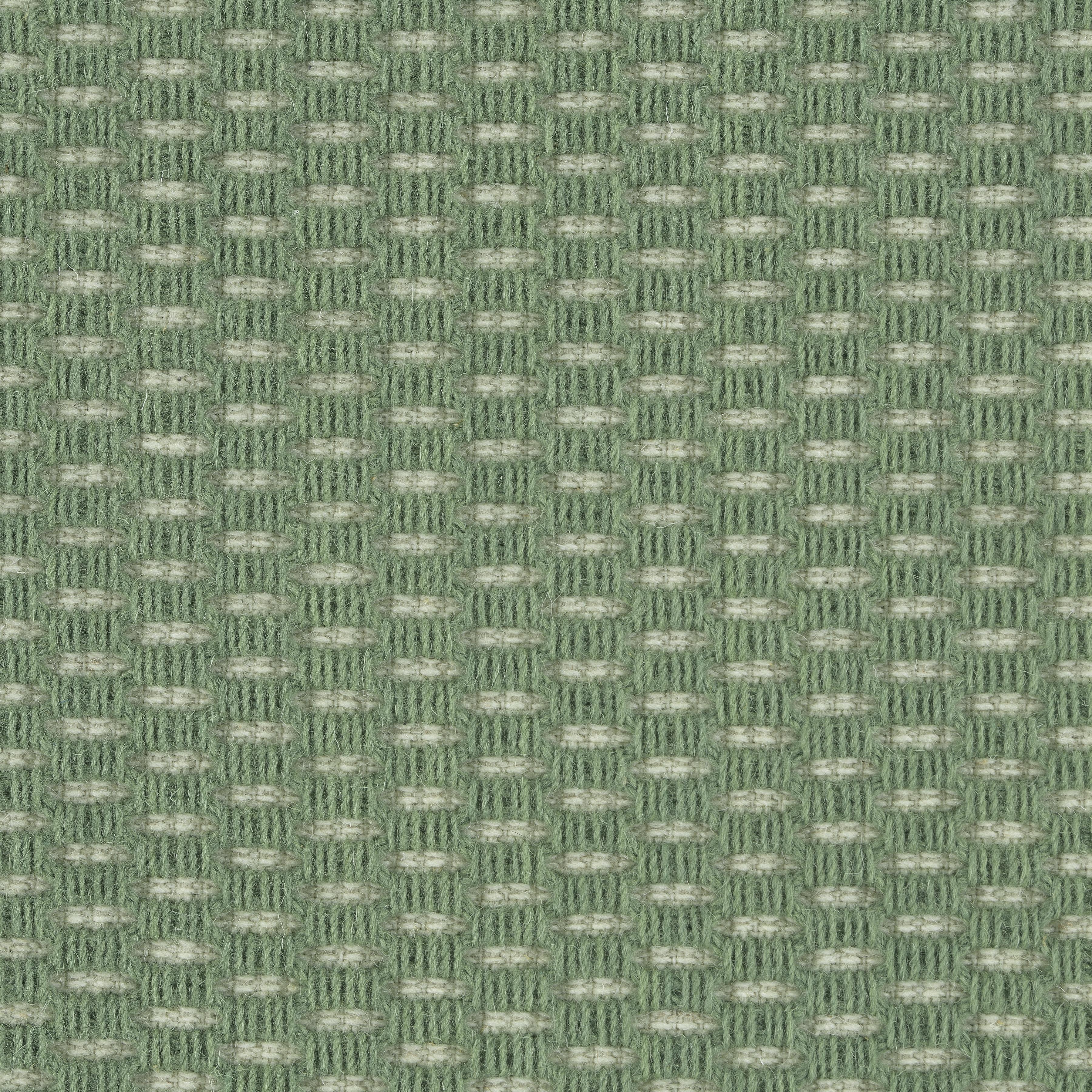 Image of OAK PARK FERN