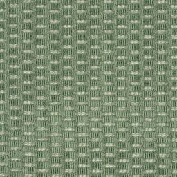 Image of OAK PARK FERN