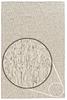 1st image thumbnail of FASCINOSA 30 IVORY