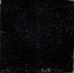 Image of EROS CARBONE