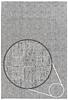 1st image thumbnail of FASCINOSA 40 SILVER