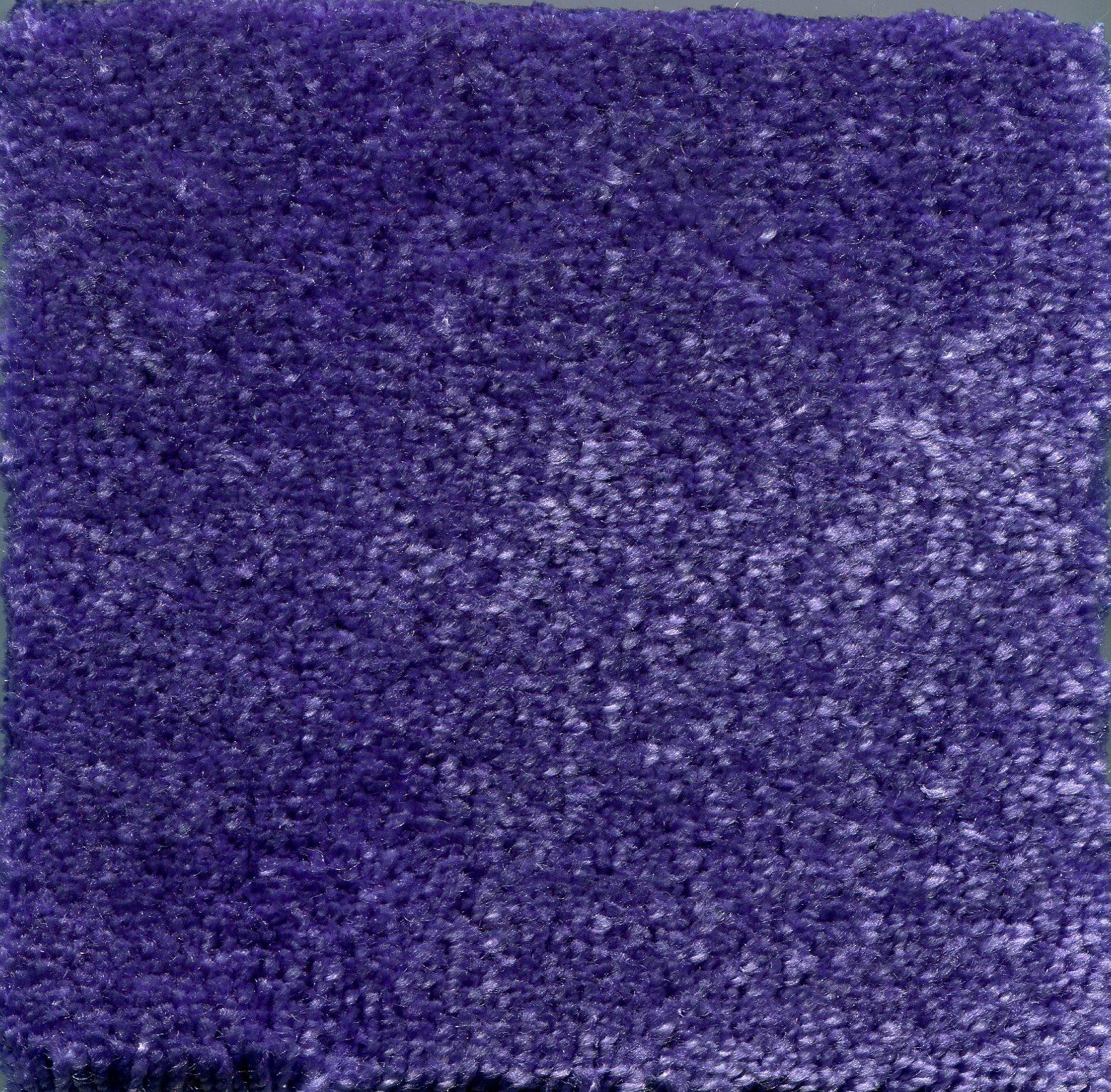 Image of EROS VIOLA