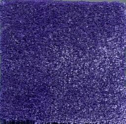 Image of EROS VIOLA