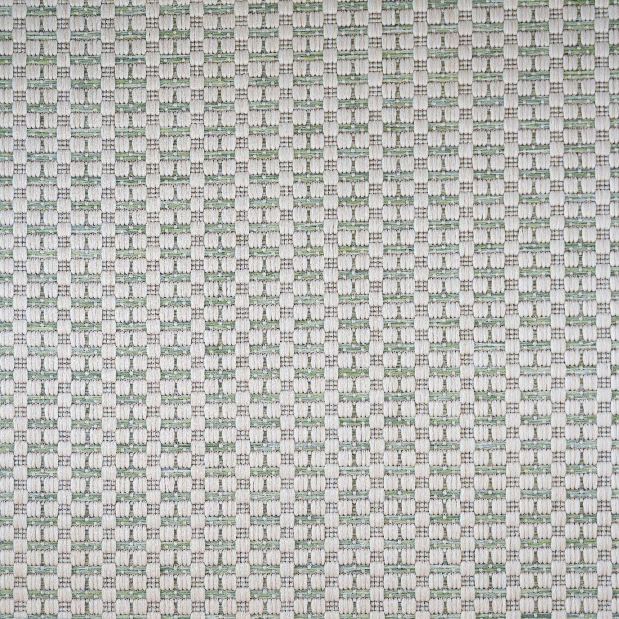 Image of PALMETTO HOLLY