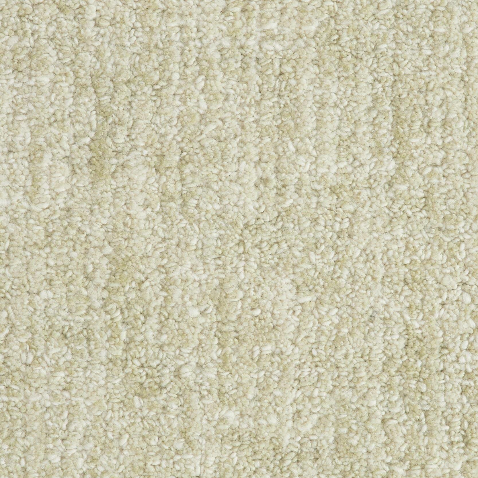 Image of NOISE SAGE