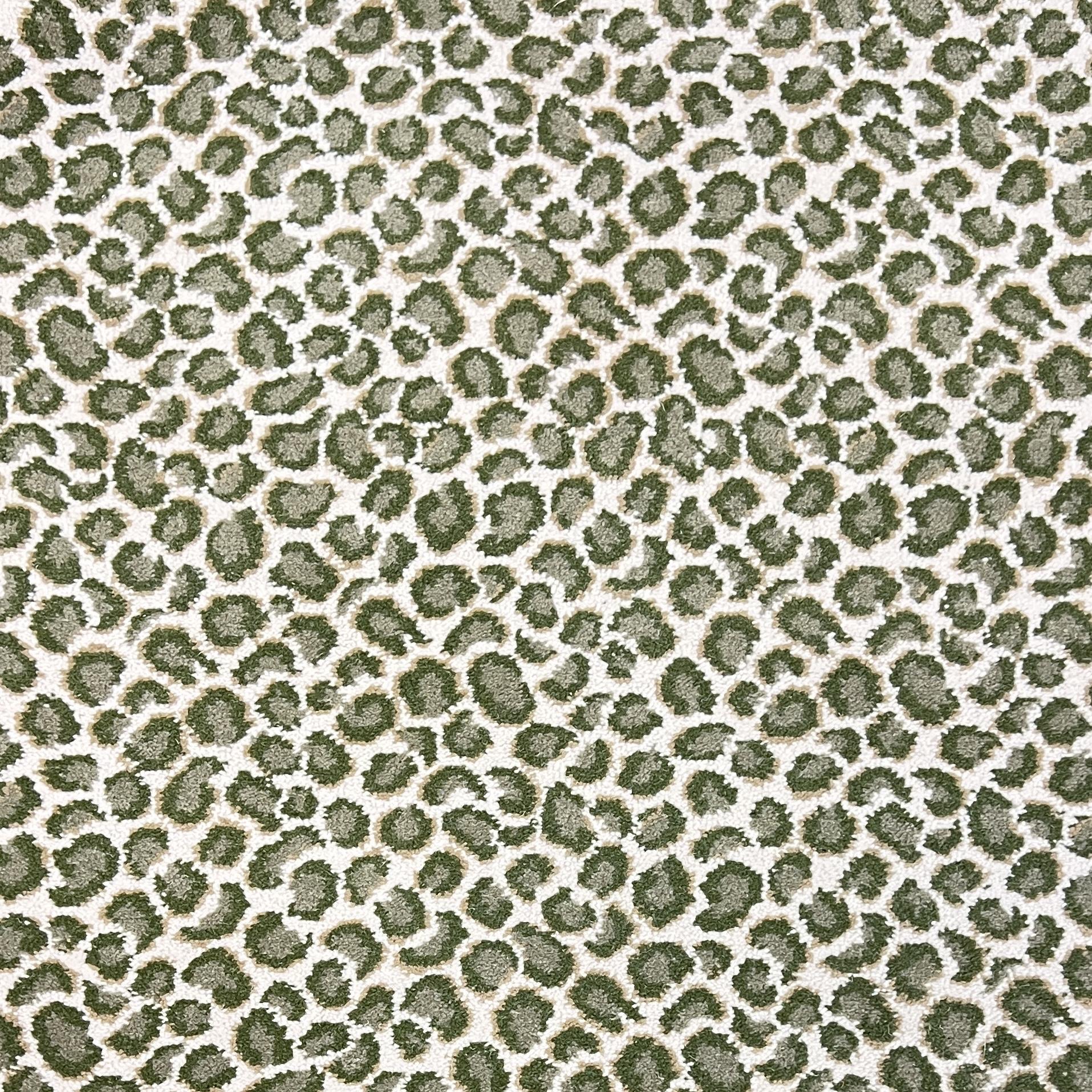 Image of LEOPARDUS FERN