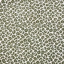 Image of LEOPARDUS FERN