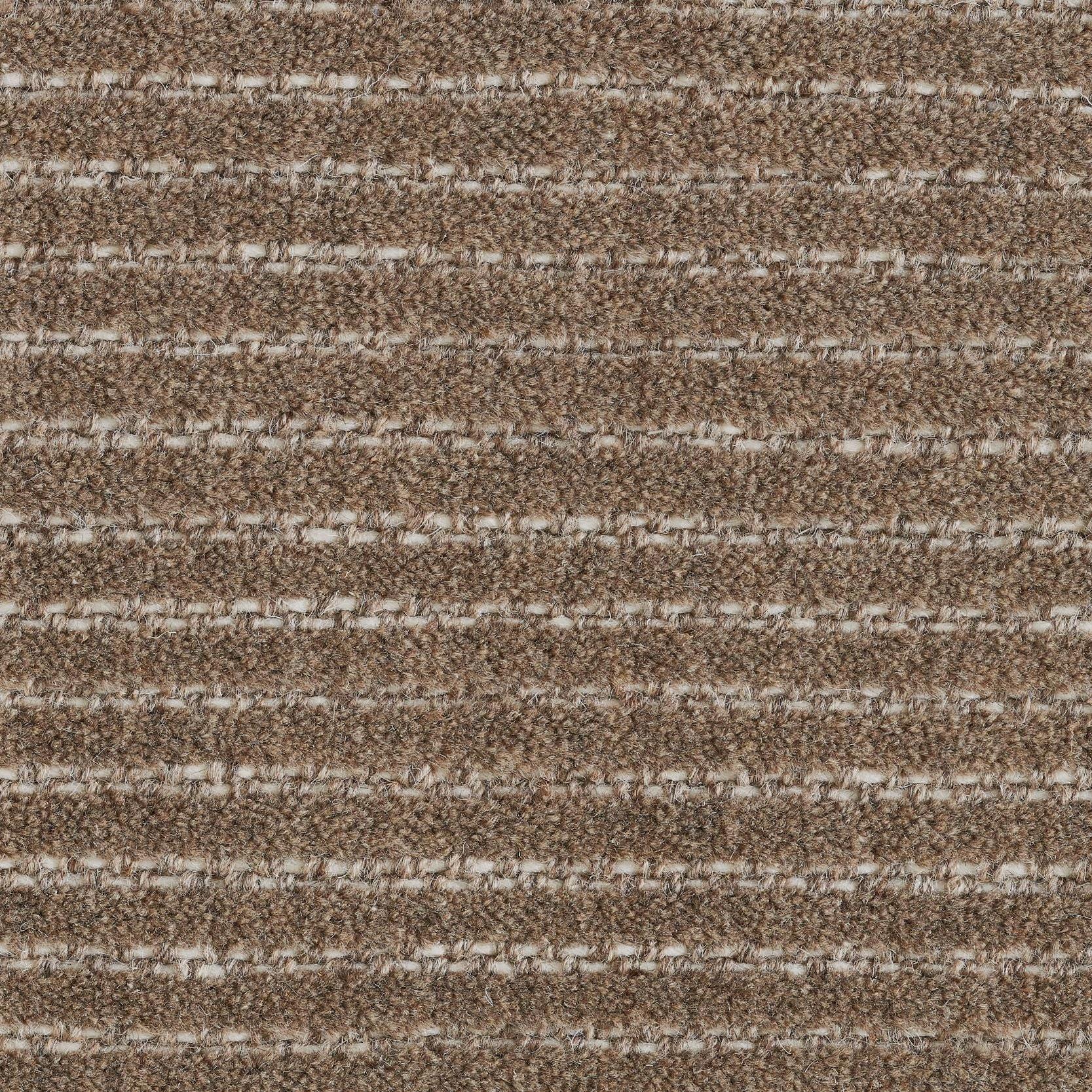 Image of MONTVALE CHESTNUT