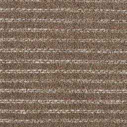 Image of MONTVALE CHESTNUT