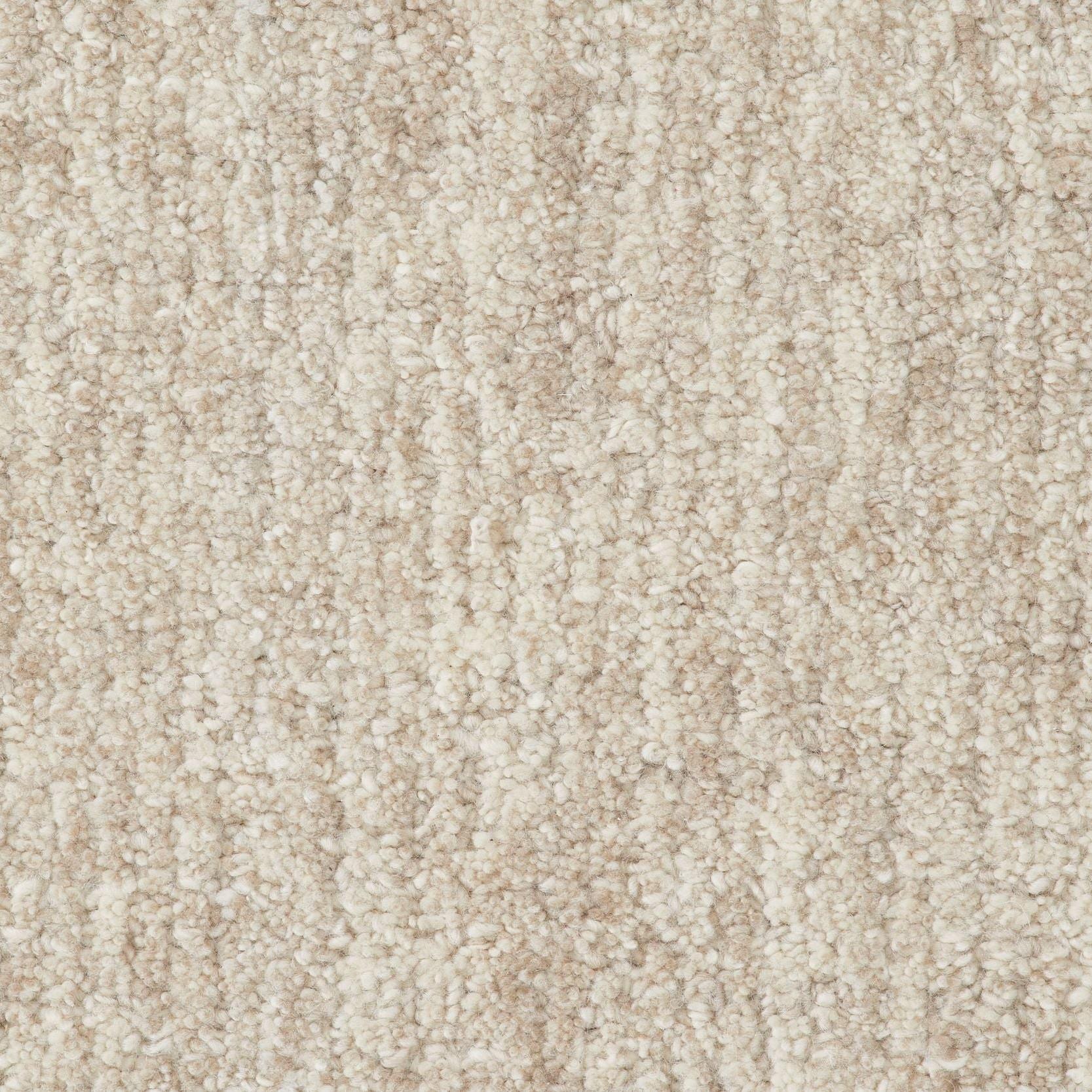 Image of NOISE DOVE