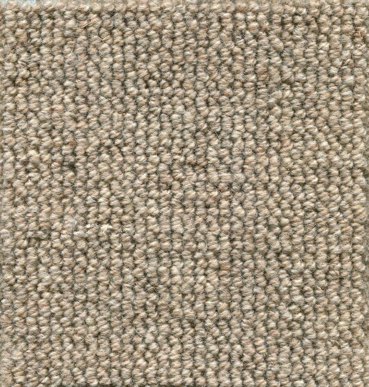 Image of TERRA CORDA