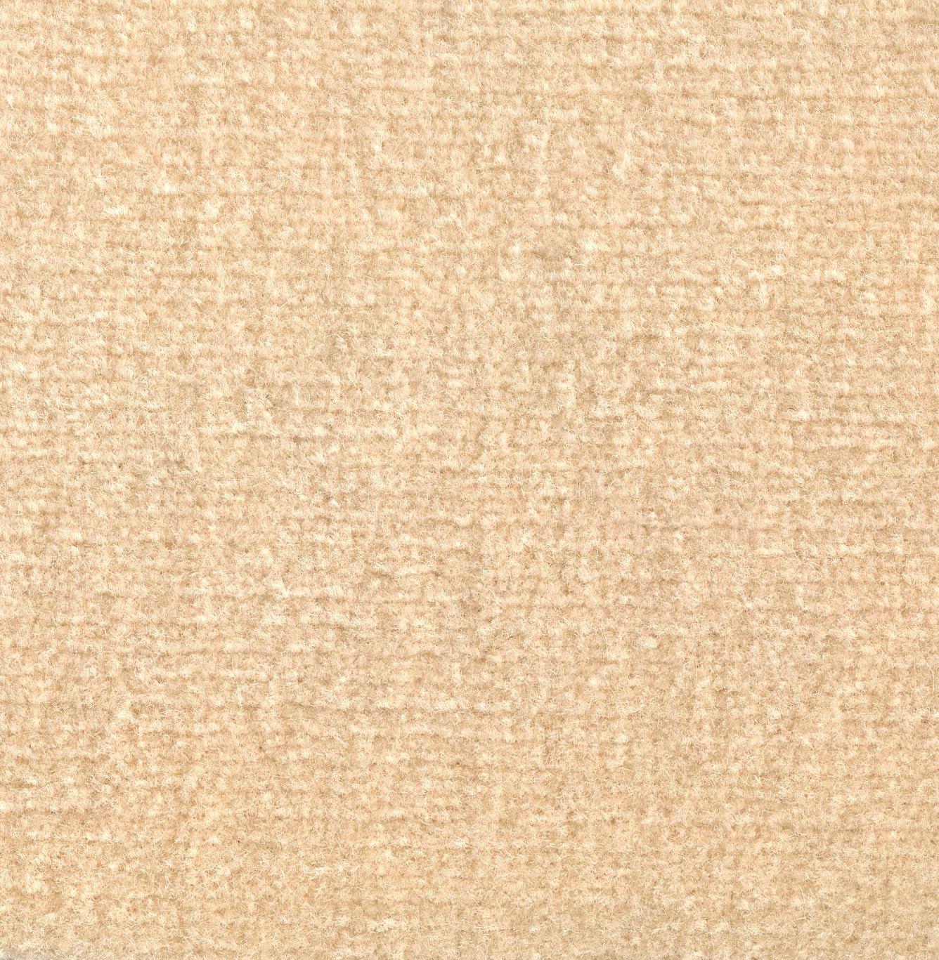 Image of ABETONE MAGNOLIA