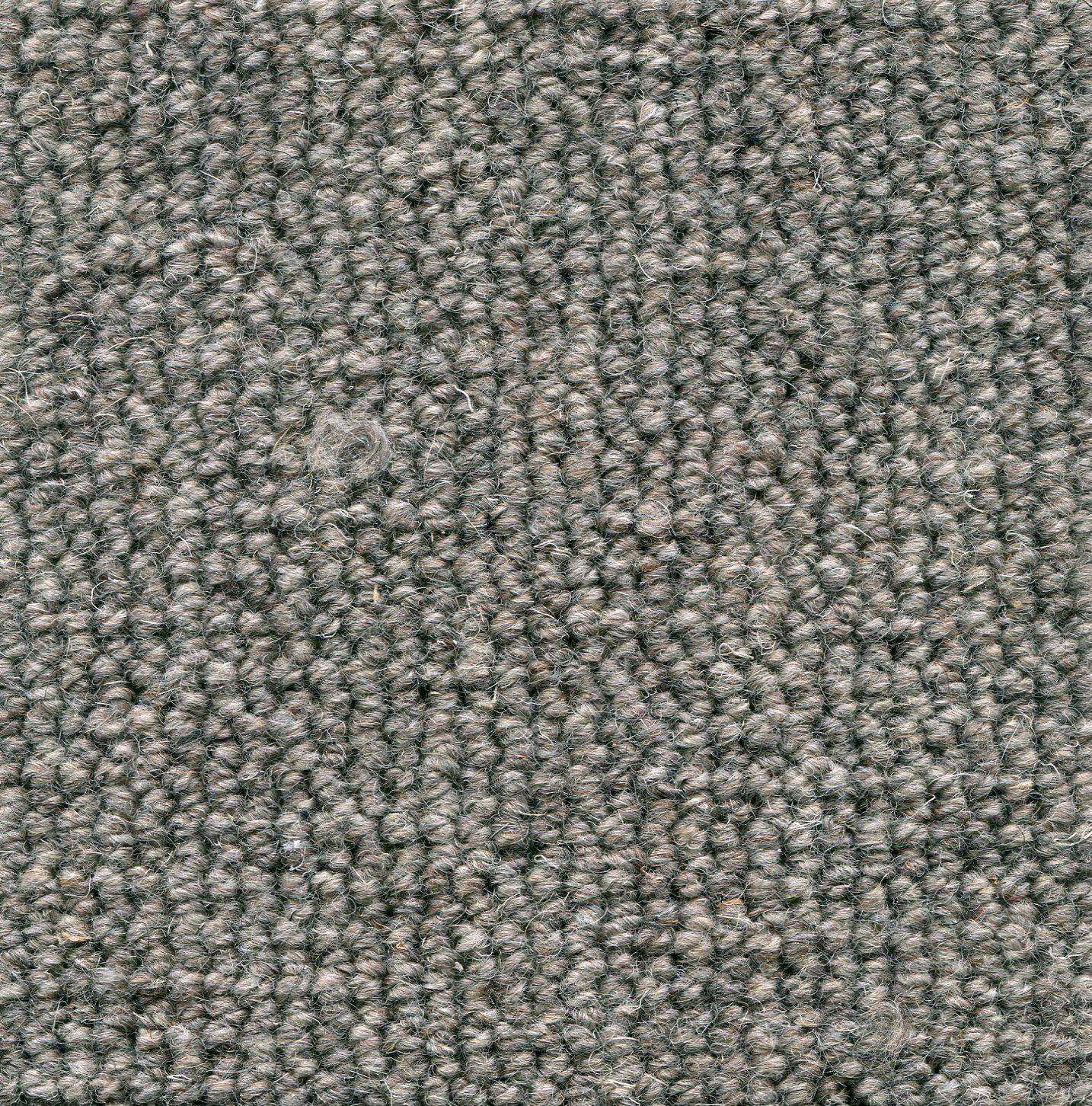 Image of TERRA CENERE