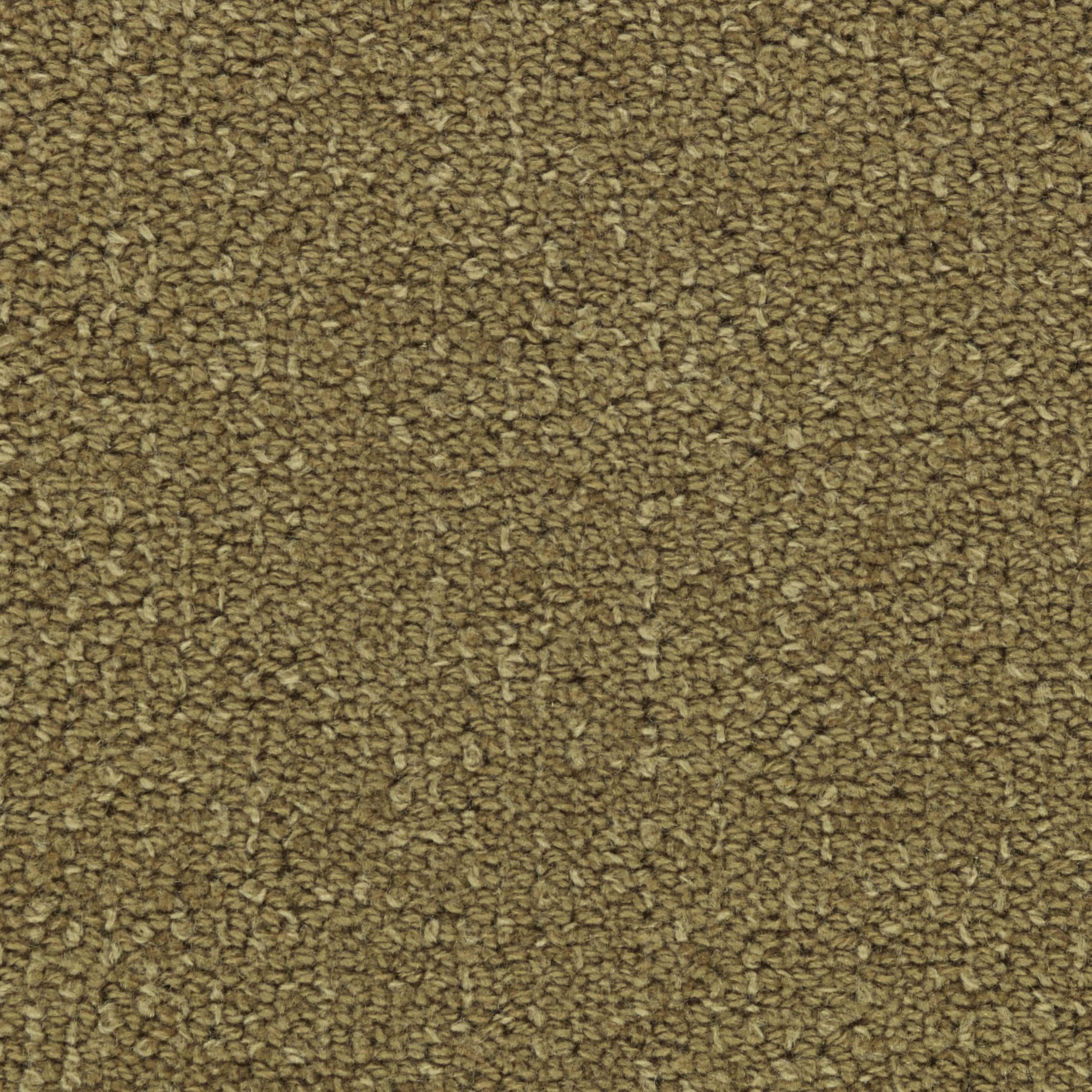 Image of CHARADE GOLDENROD