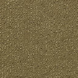 Image of CHARADE GOLDENROD