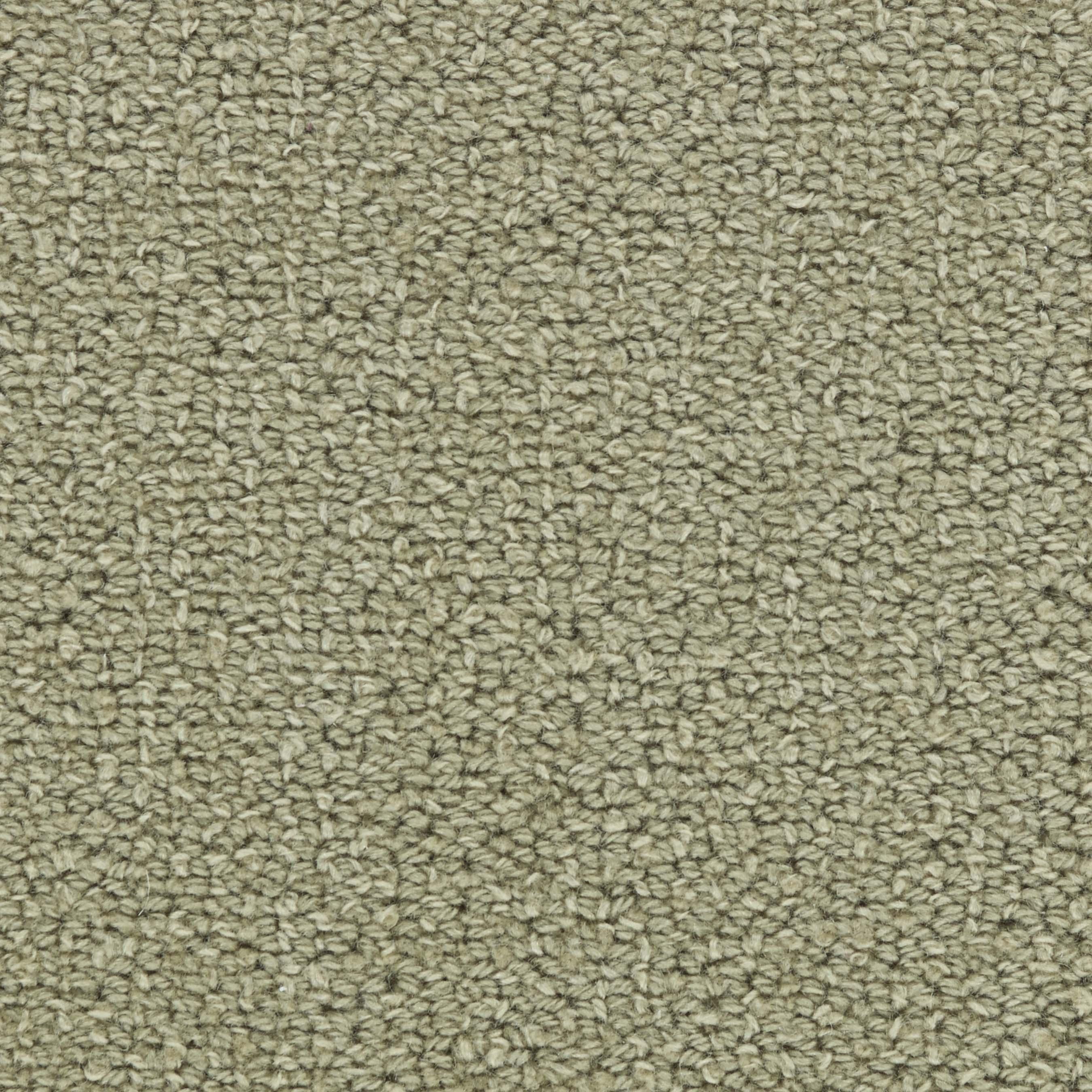 Image of CHARADE LICHEN