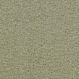Image of CHARADE LICHEN