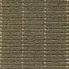 1st image thumbnail of GIOTTO SALVIA