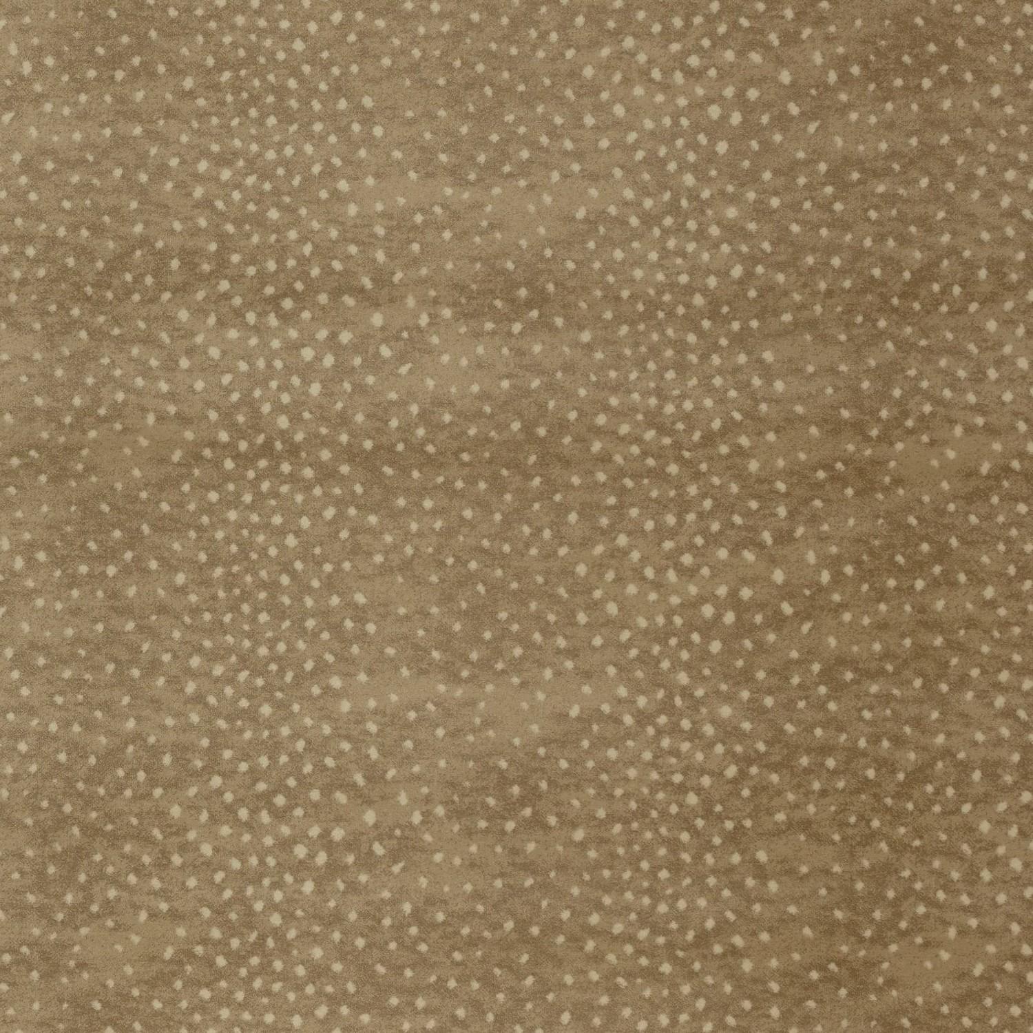 Image of DERNING ALMOND