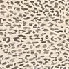 3rd image thumbnail of LEOPARDO 804 IVORY