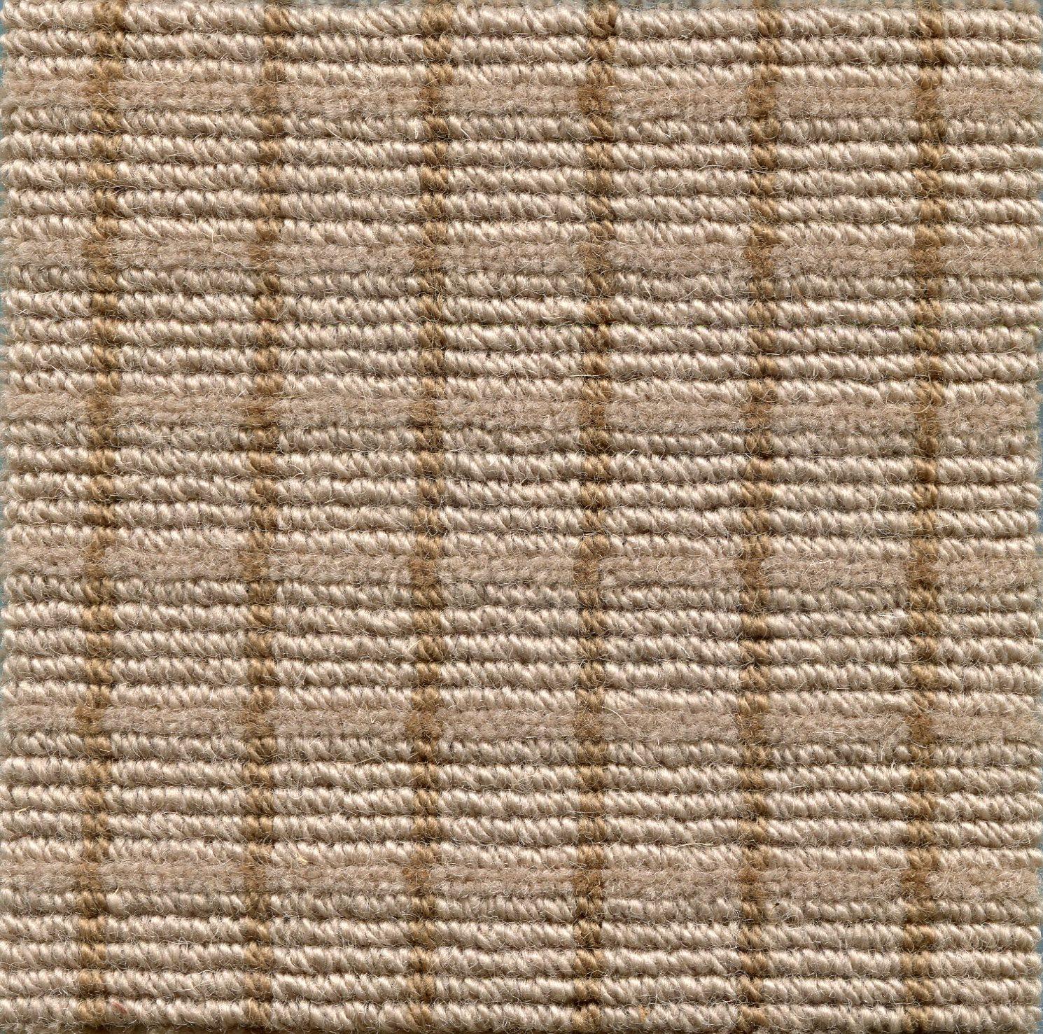 Image of PRIMA FOSSIL