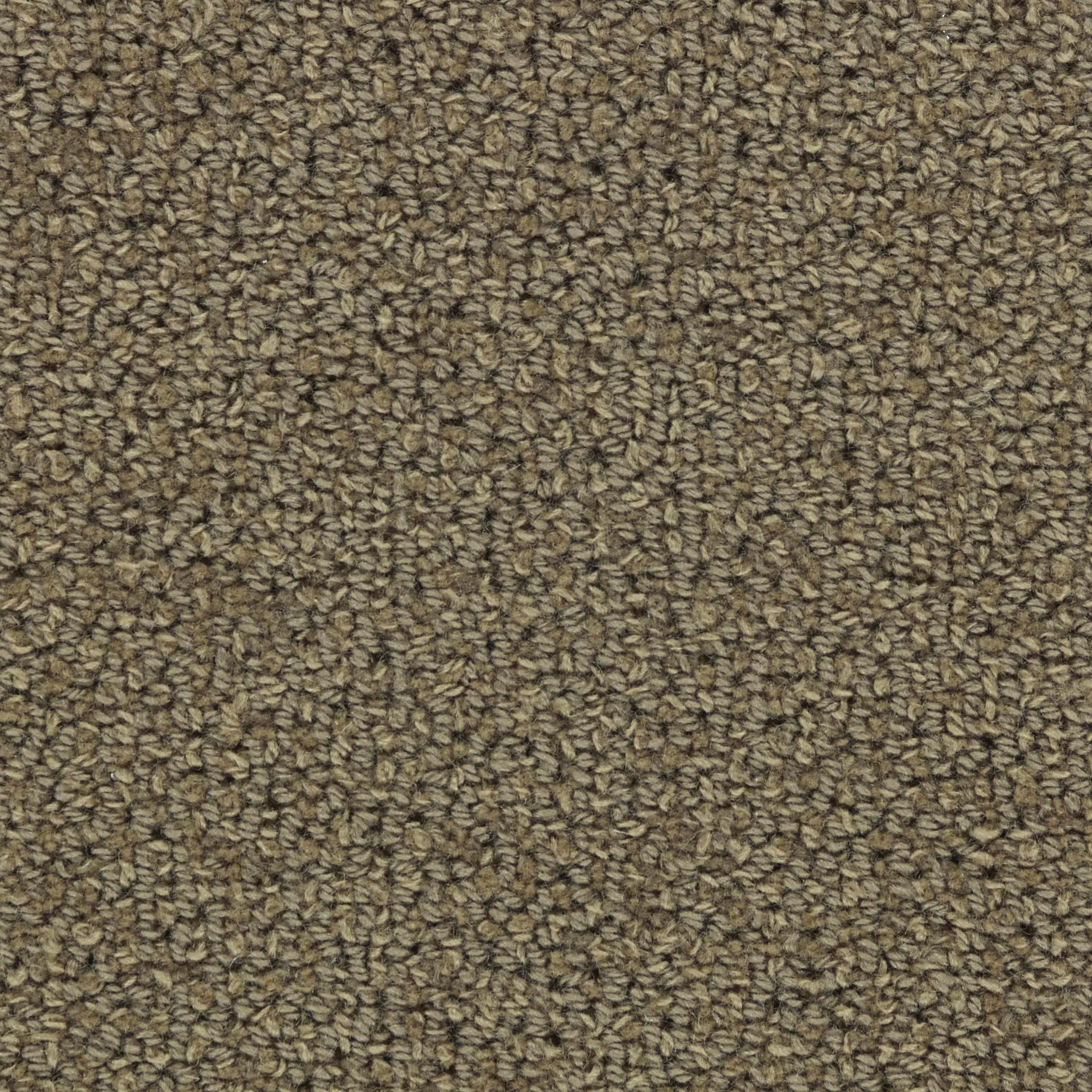 Image of CHARADE NUTMEG