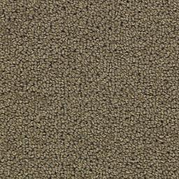 Image of CHARADE NUTMEG