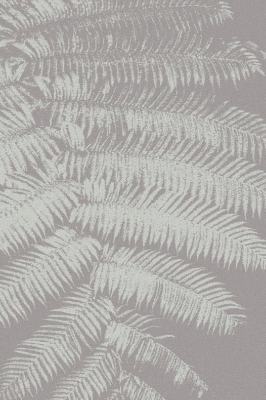 Image of FERN GREY