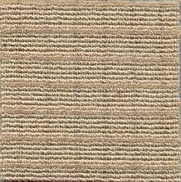Image of PRIMA WHEAT
