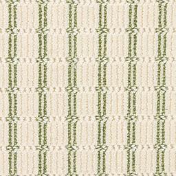 Image of CHANCE KIWI